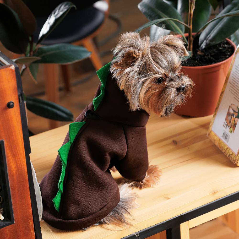 Товстівка для собак Pet Fashion Dragon S Товстівка для собак Pet Fashion Dragon S