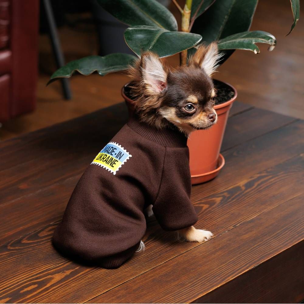 Pet Fashion Made in Ukraine товстівка для собак XS Pet Fashion Made in Ukraine товстівка для собак XS