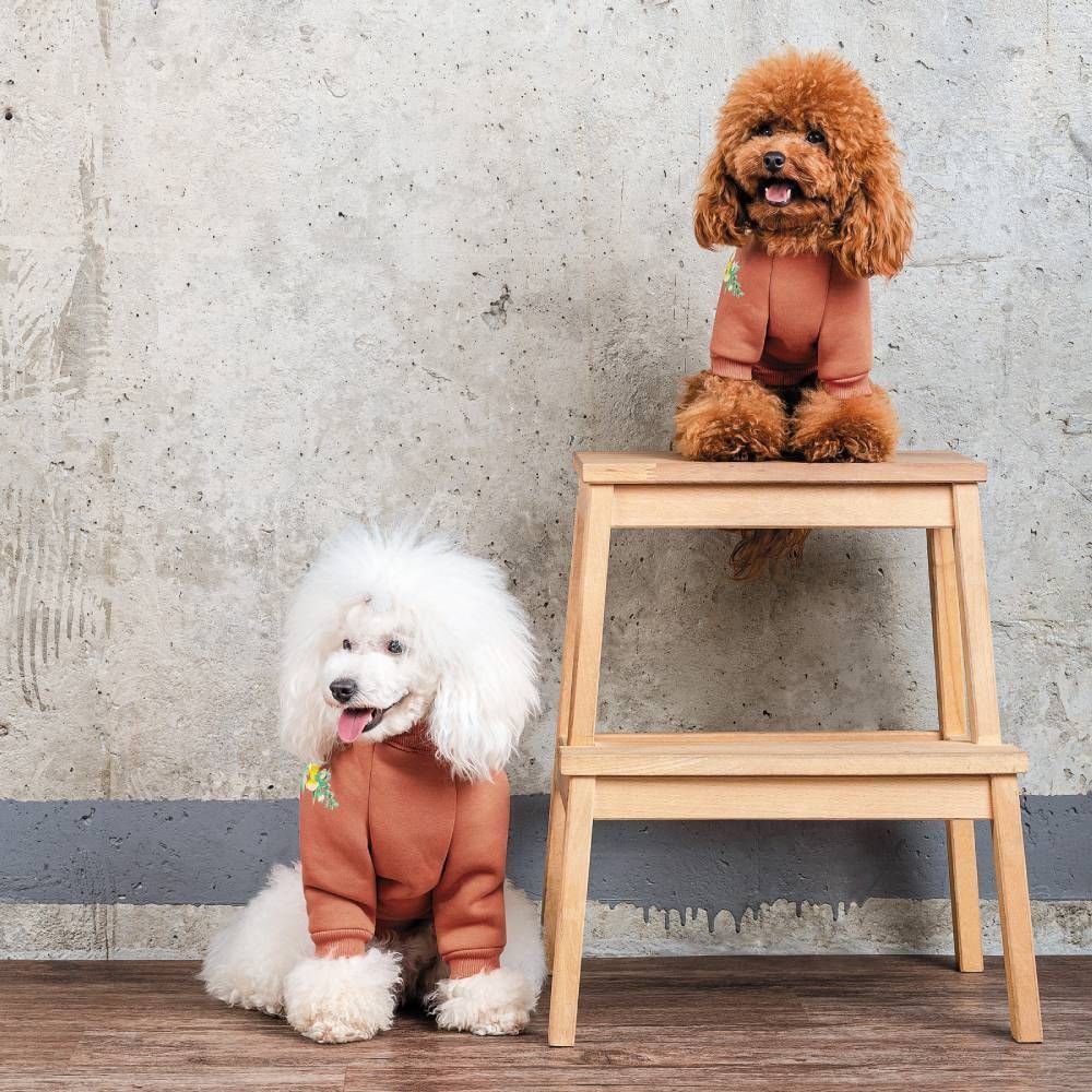 Товстівка для собак Pet Fashion Miley XS-2 Товстівка для собак Pet Fashion Miley XS-2