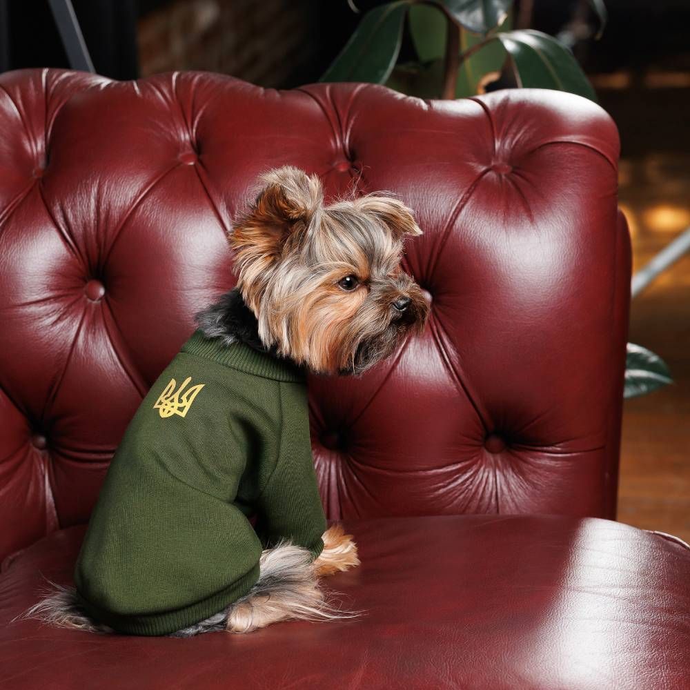 Pet Fashion Тризуб толстовка для собак XS-2 Pet Fashion Тризуб толстовка для собак XS-2