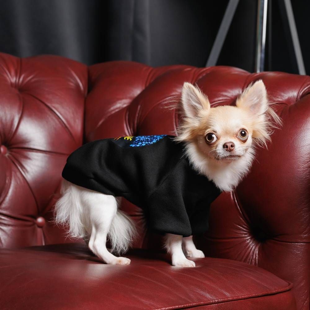 Pet Fashion Ukraine товстівка для собак XS Pet Fashion Ukraine товстівка для собак XS