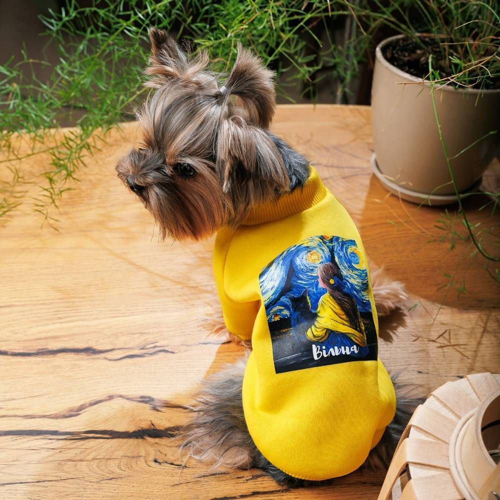 Pet Fashion Свободная толстовка для собак XS Pet Fashion Свободная толстовка для собак XS