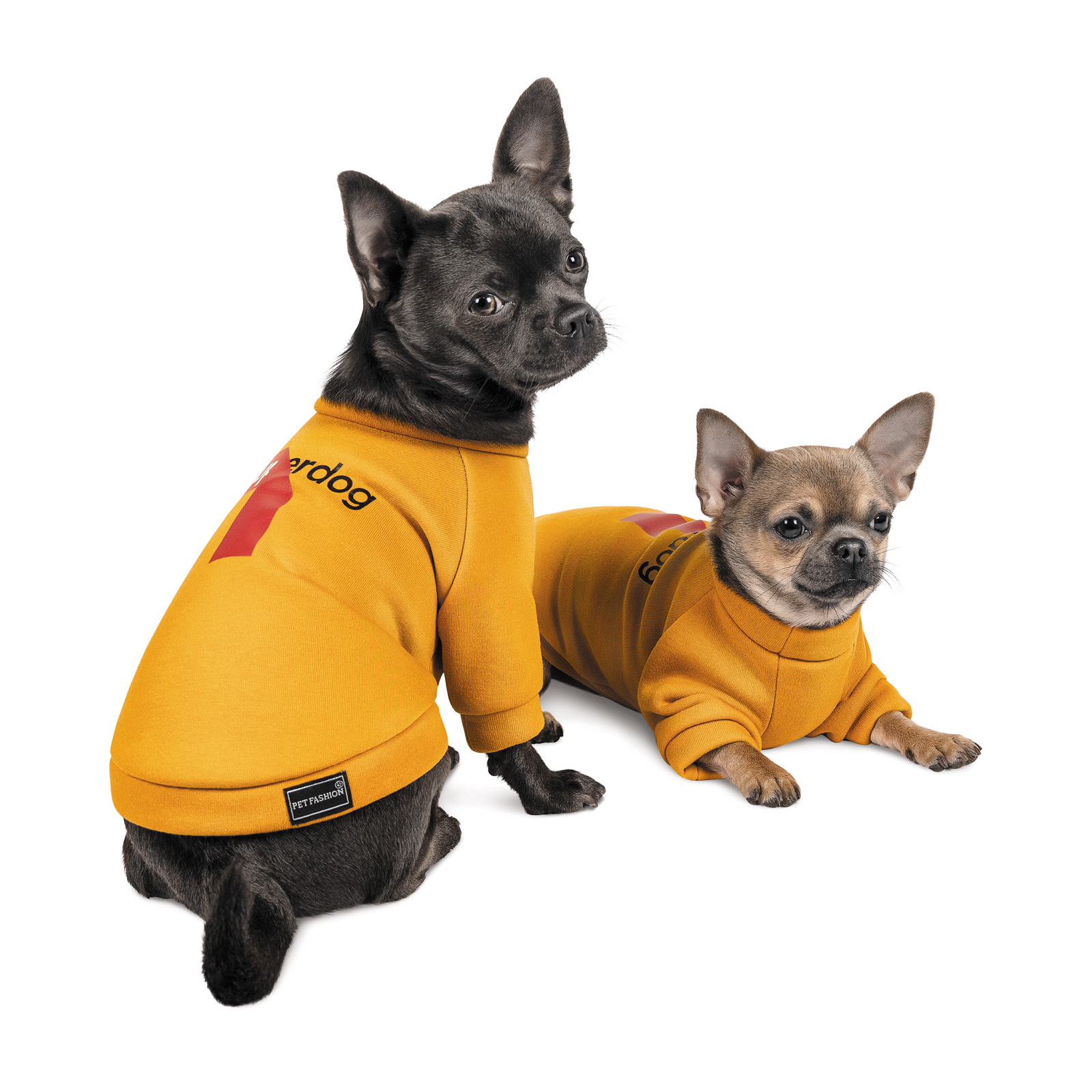 Толстовка для собак Pet Fashion «Superdog» XS-2 Толстовка для собак Pet Fashion «Superdog» XS-2