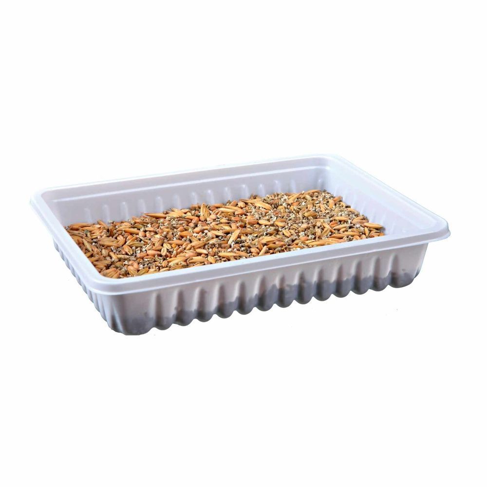 Трава для грызунов Trixie Small Animal Grass 100 г Трава для грызунов Trixie Small Animal Grass 100 г