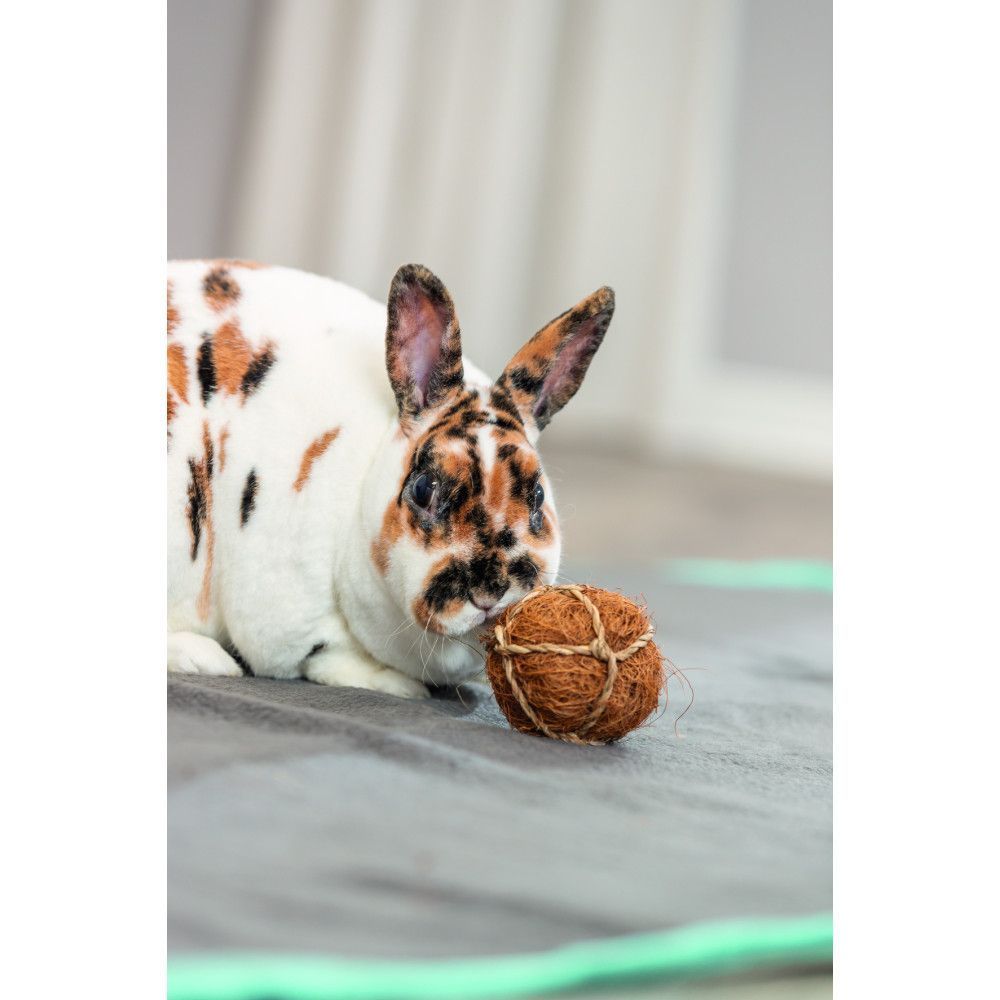 Trixie Coconut Ball іграшка для гризунів 6 см - коричневий