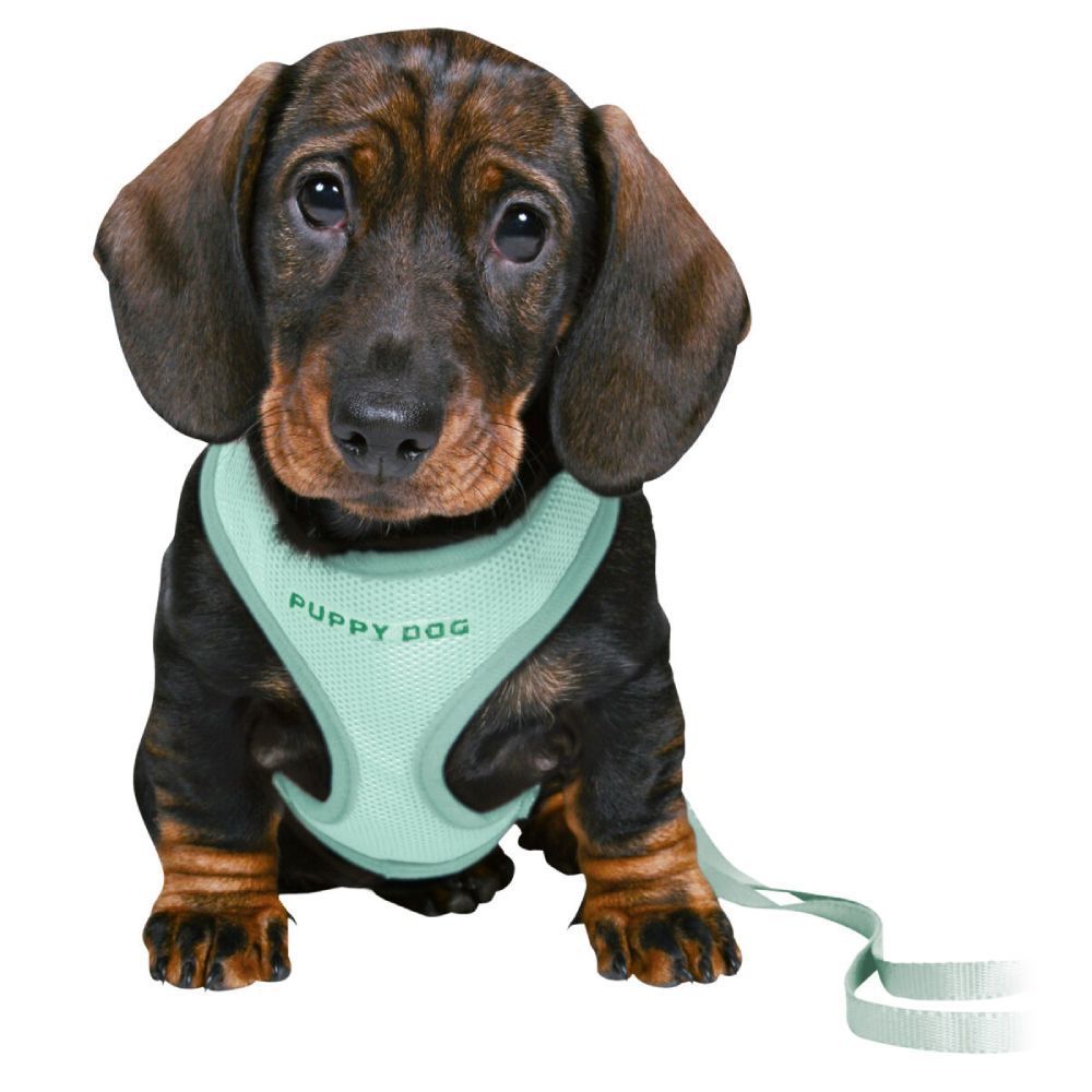 Trixie Junior Puppy Soft шлейка с поводком для щенков S-M - мятный Trixie Junior Puppy Soft шлейка с поводком для щенков S-M - мятный