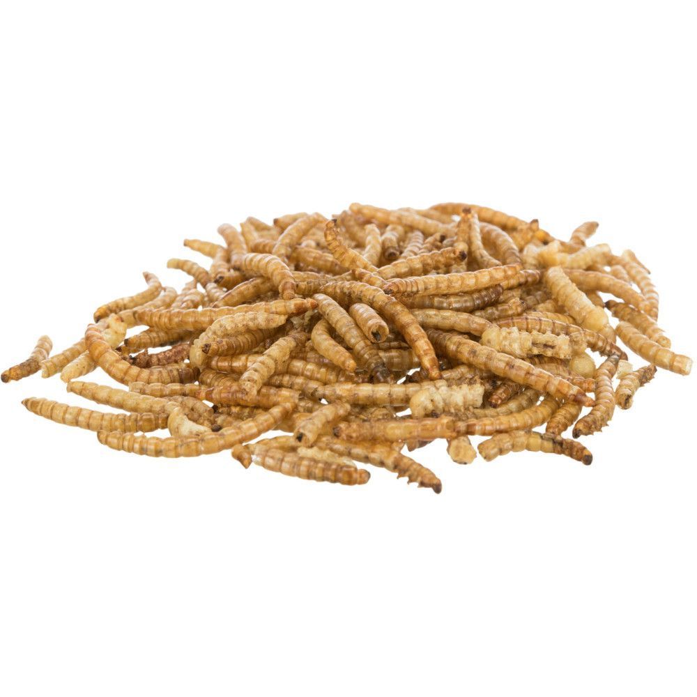 Ласощі для гризунів Trixie Mealworms 70 г - хрущак