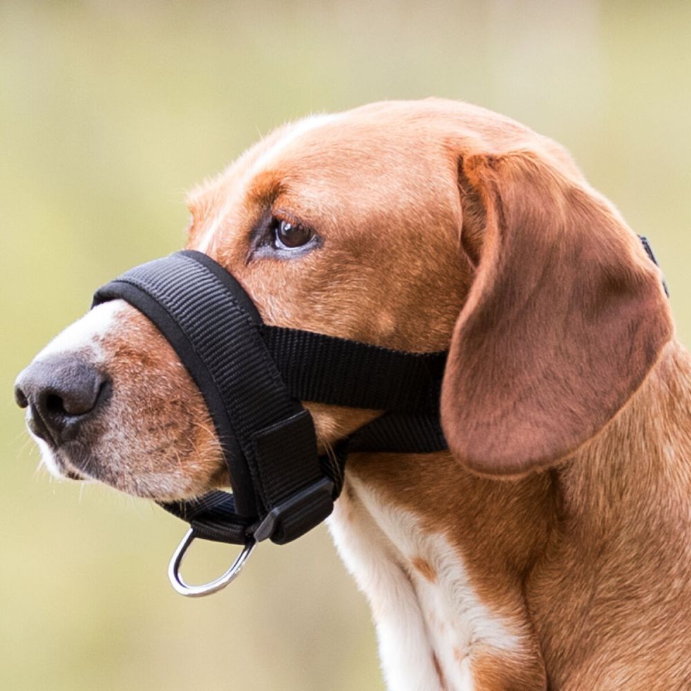 Trixie Muzzle Loop намордник-петля для собак M-L - чорний Trixie Muzzle Loop намордник-петля для собак M-L - чорний