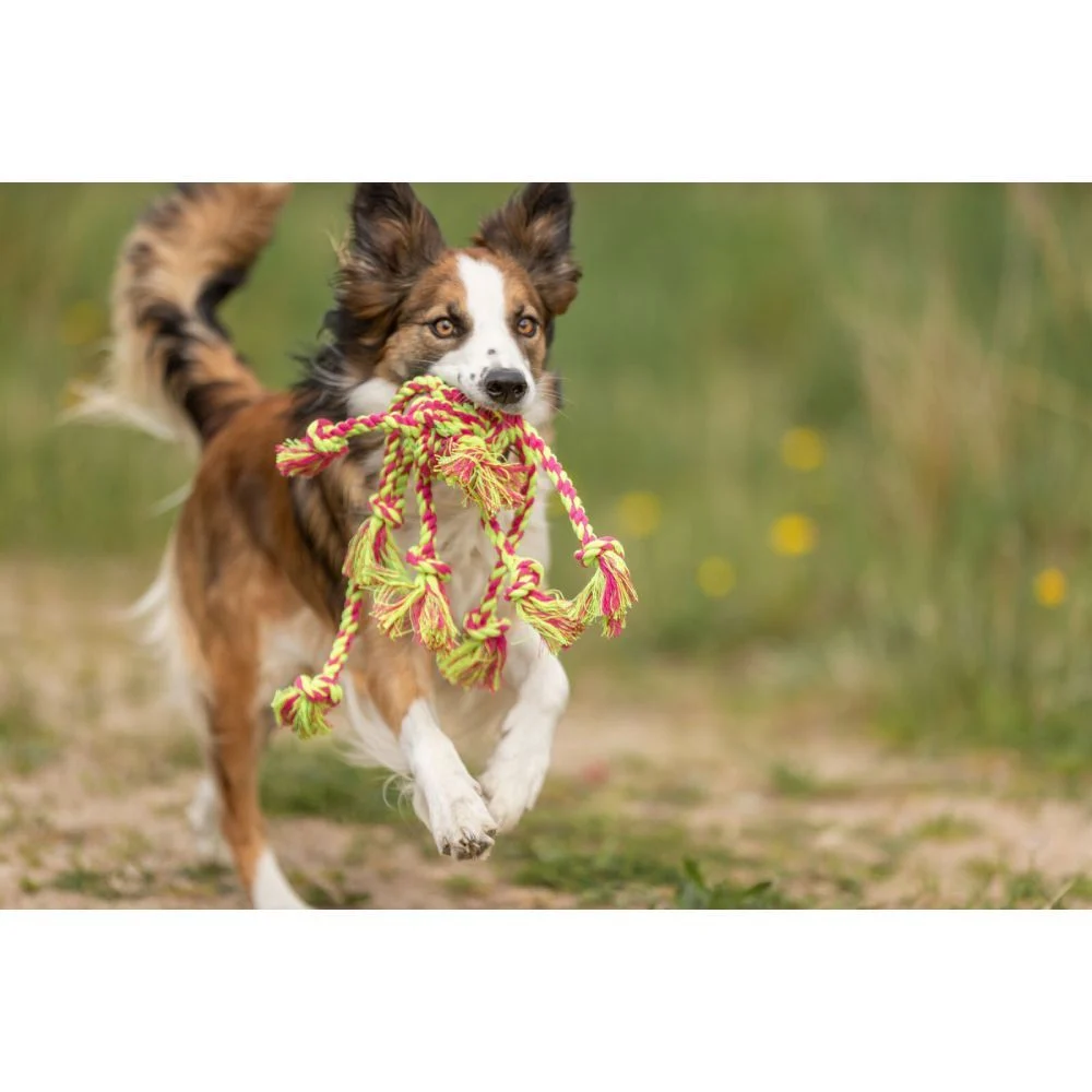 Trixie Playing Rope with Woven-in Ball игрушка для собак 44 см - разноцветная Trixie Playing Rope with Woven-in Ball игрушка для собак 44 см - разноцветная