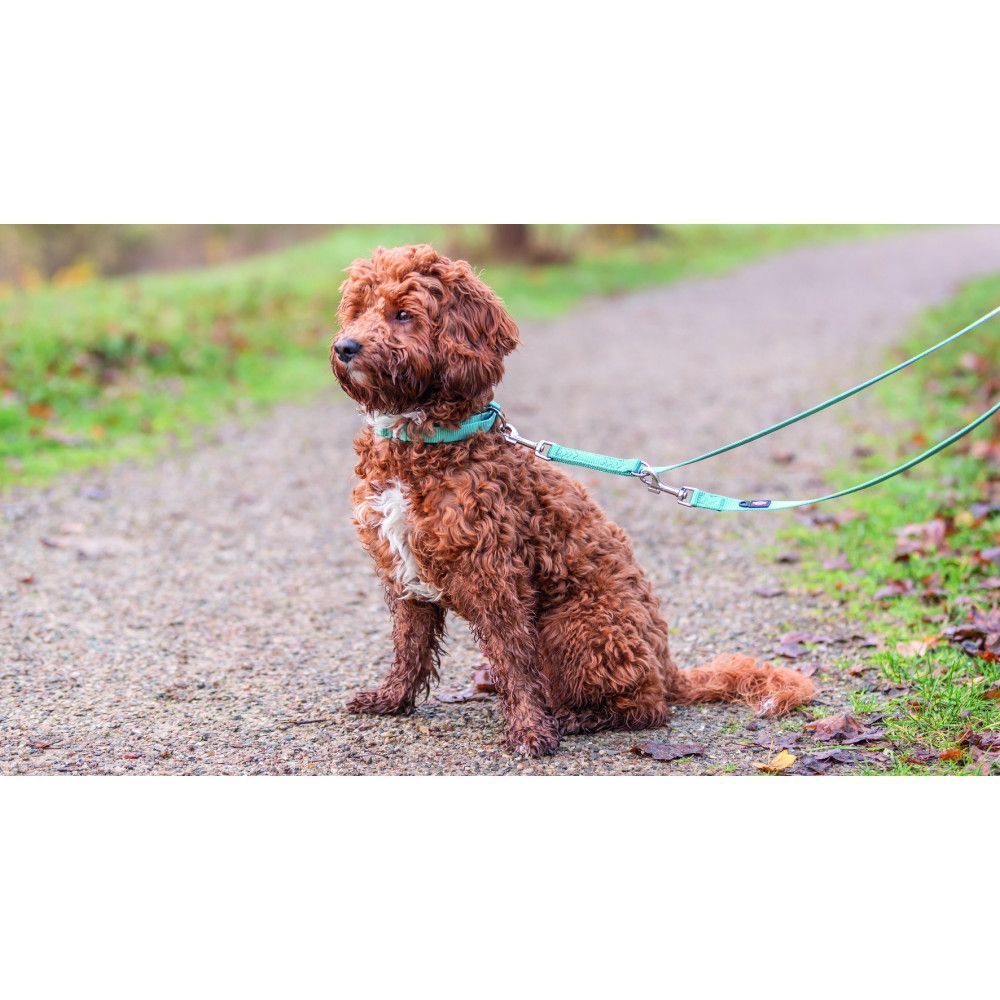 Trixie Premium Adjustable Lead повідець для собак XS 2 м 10 мм - аква Trixie Premium Adjustable Lead повідець для собак XS 2 м 10 мм - аква
