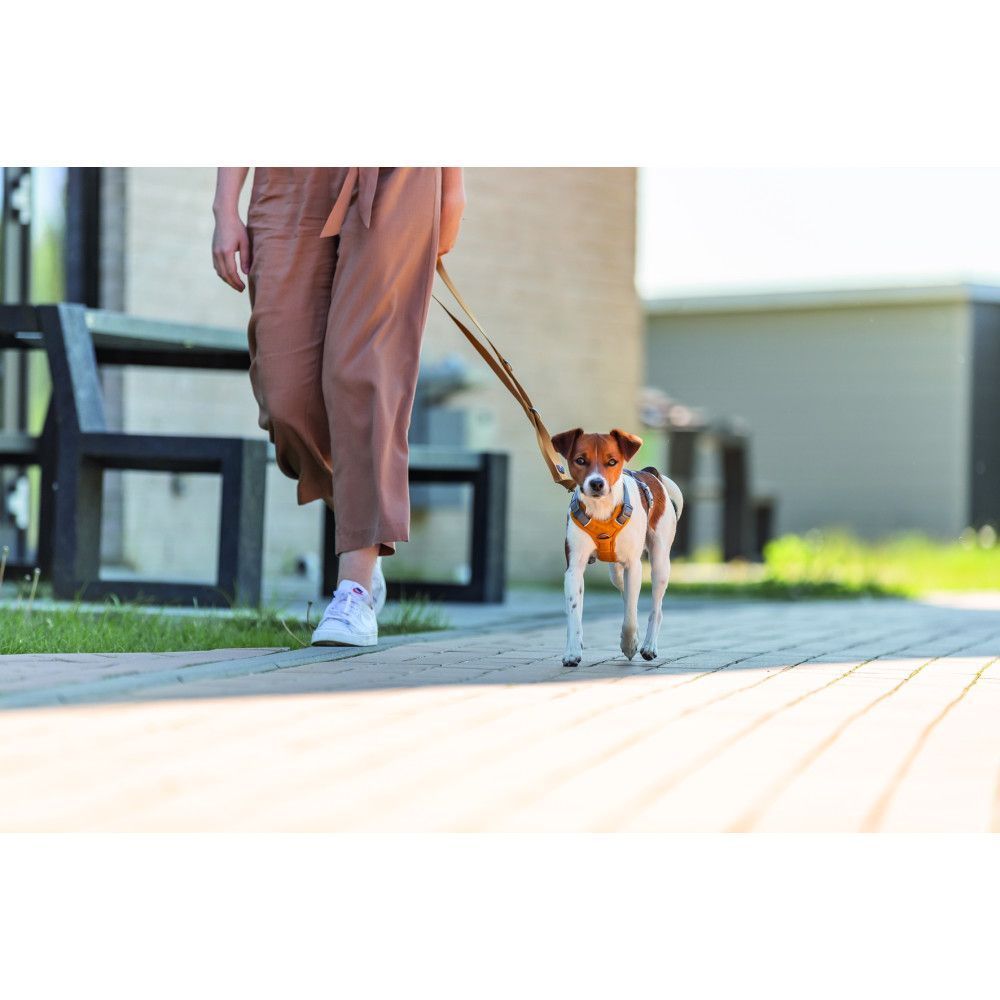 Trixie Premium Adjustable Lead повідець для собак XS–S 2 м 15 мм - помаранчевий Trixie Premium Adjustable Lead повідець для собак XS–S 2 м 15 мм - помаранчевий