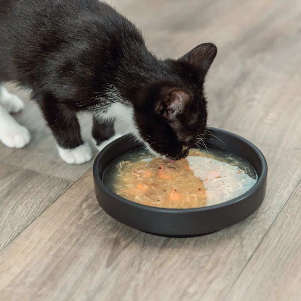 Trixie Soup суп корм для кошек 80 г - курица и лосось