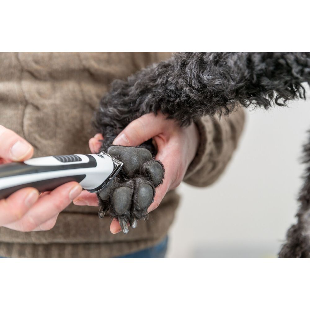 Trixie Slim TR500 машинка для стрижки собак - різнокольоровий Trixie Slim TR500 машинка для стрижки собак - різнокольоровий