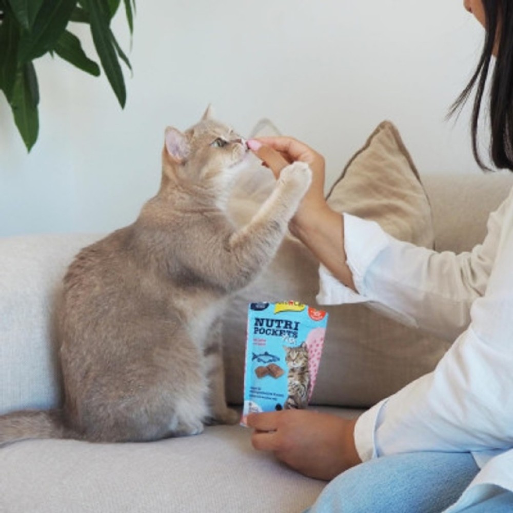 Лакомства для кошек GimCat Nutri Pockets Fish 60 г - лосось Лакомства для кошек GimCat Nutri Pockets Fish 60 г - лосось