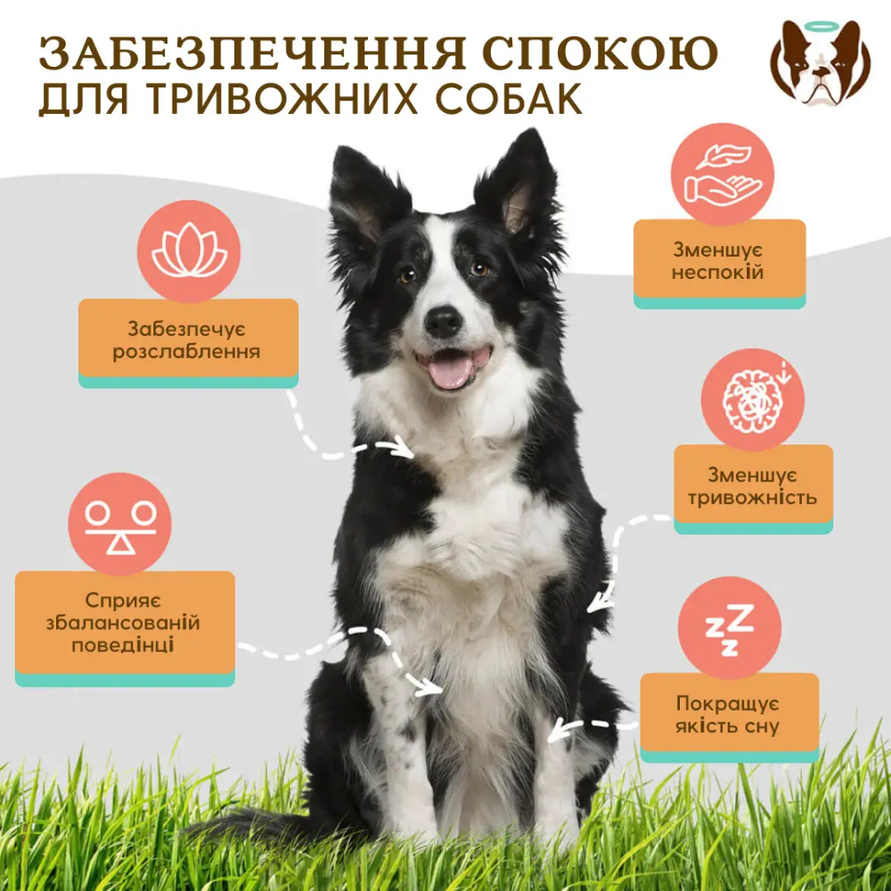 Вітаміни для собак Natural Dog Company Calming Supplement 90 шт