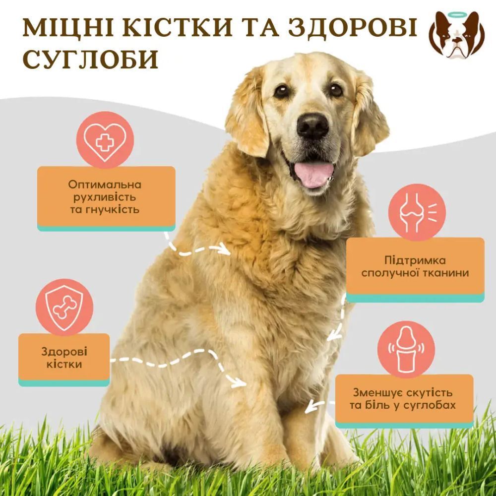 Вітаміни для собак Natural Dog Company Hip&Joint 90 шт Вітаміни для собак Natural Dog Company Hip&Joint 90 шт