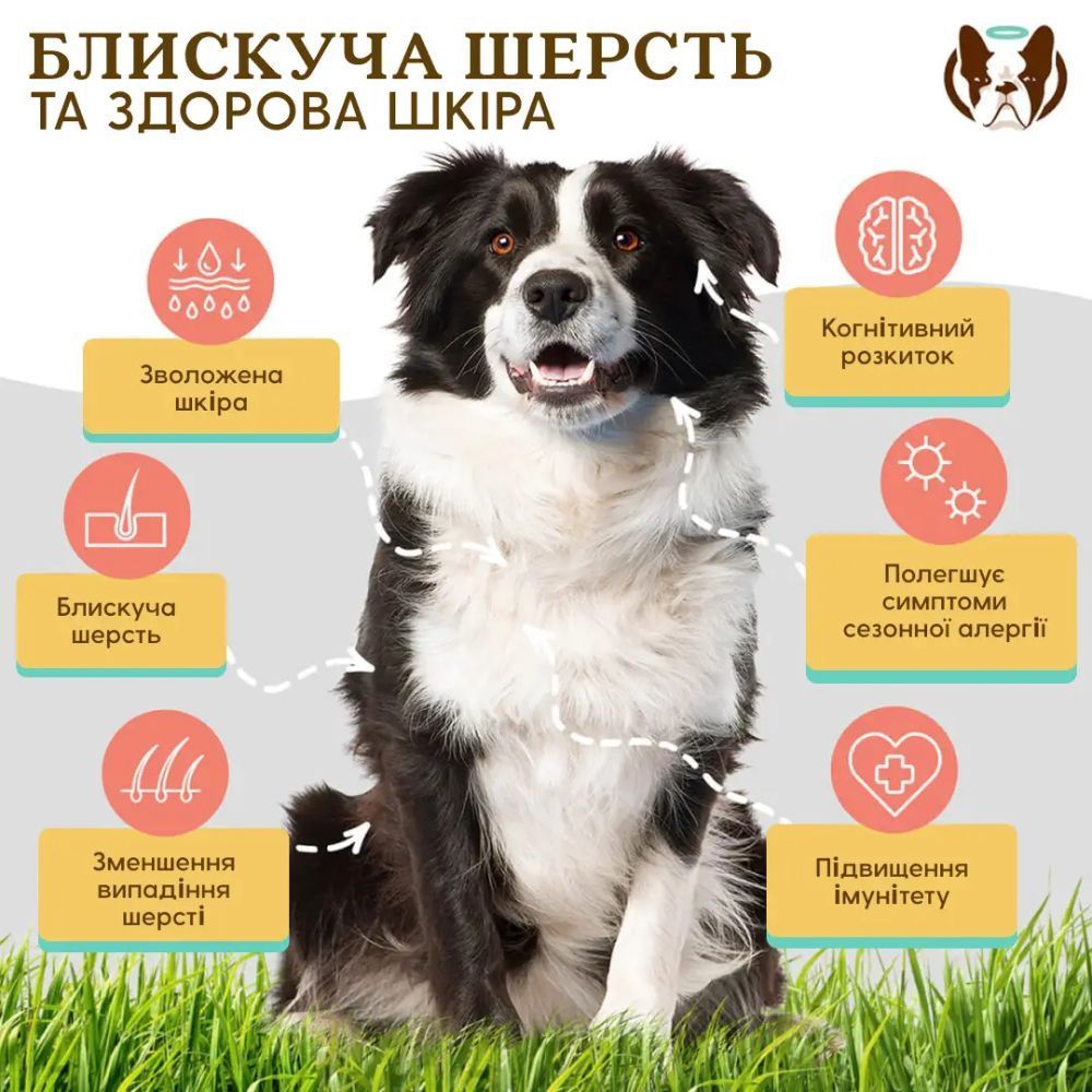 Вітаміни для собак Natural Dog Company Skin&Coat 90 шт
