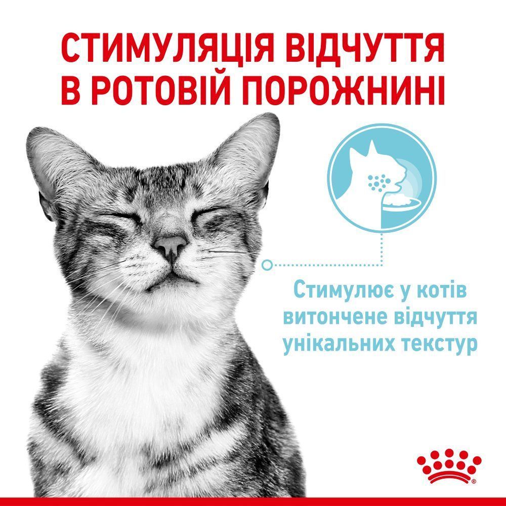 Влажный корм для кошек Royal Canin Sensory Feel Gravy pouch 85 г