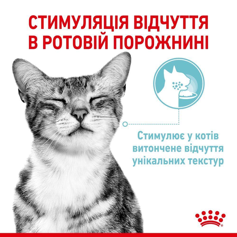 Влажный корм для кошек Royal Canin Sensory Feel Gelee 85 г
