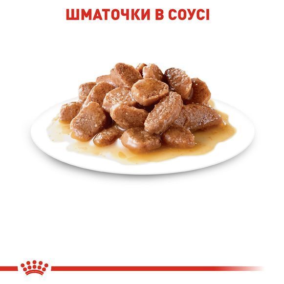 Вологий корм для котів Royal Canin Care Hair & Skin 85 г