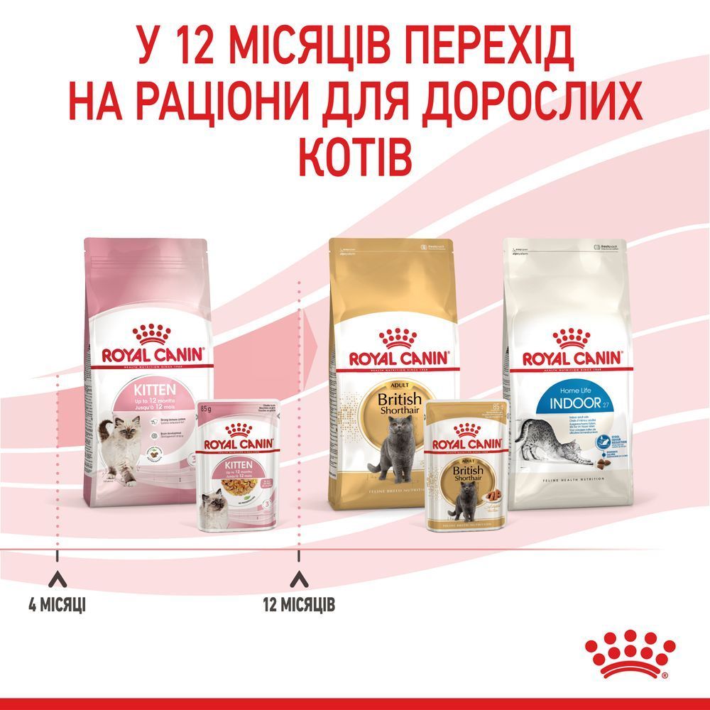 Вологий корм для кошенят Royal Canin Kitten Gravy 85 г
