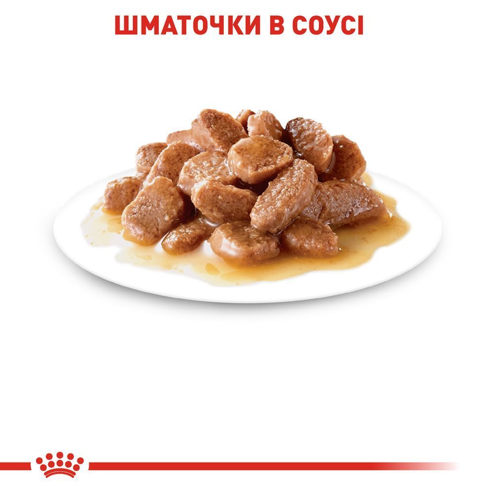 Вологий корм для котів Royal Canin Care Digestive 85 г
