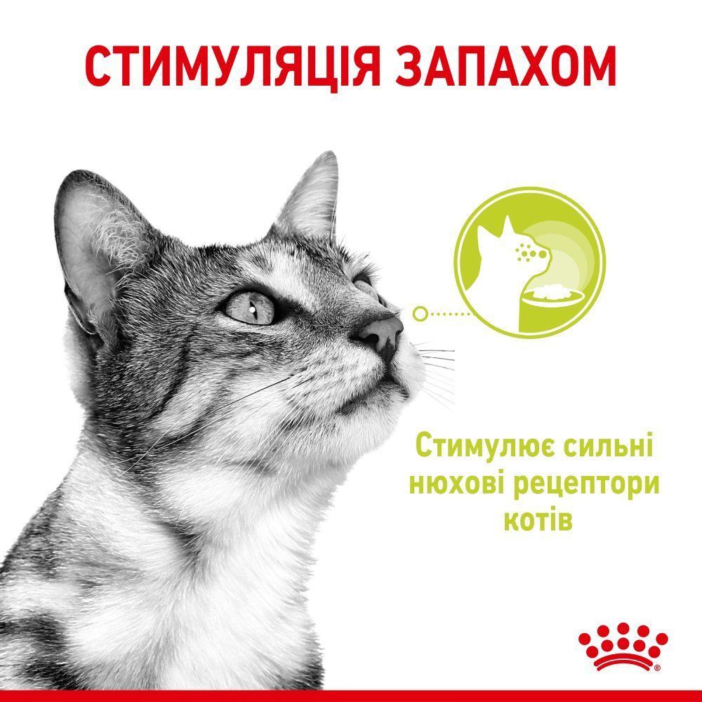 Влажный корм для кошек Royal Canin Sensory Smell Gravy pouch 85 г