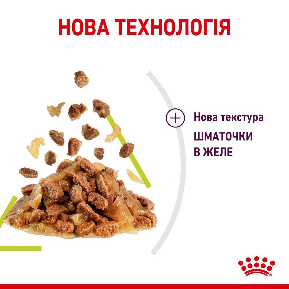 Влажный корм для кошек Royal Canin Sensory Smell Jelly pouch 85 г