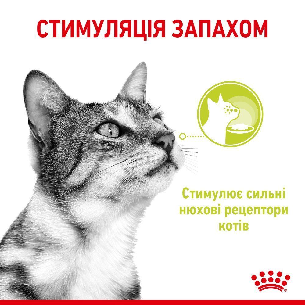 Влажный корм для кошек Royal Canin Sensory Smell Jelly pouch 85 г