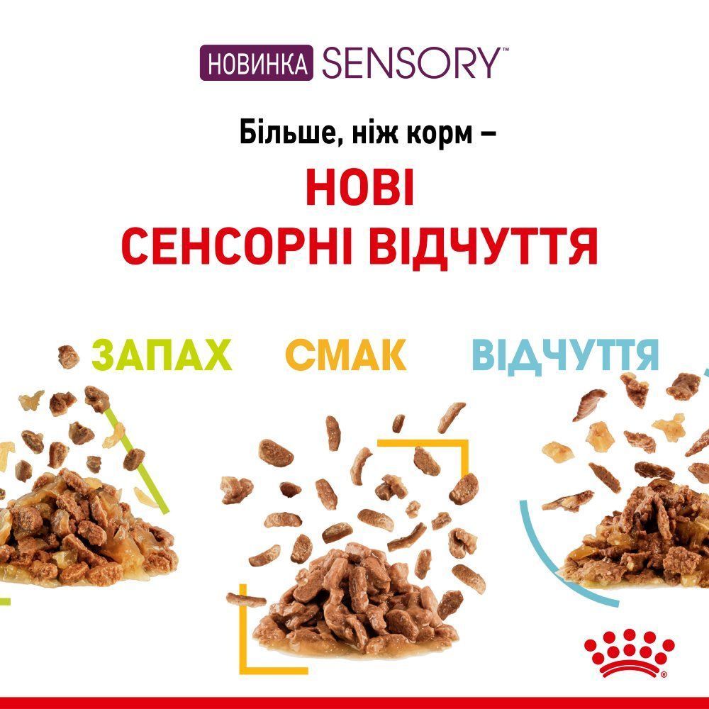 Влажный корм для кошек Royal Canin Sensory Taste Gelee 85 г