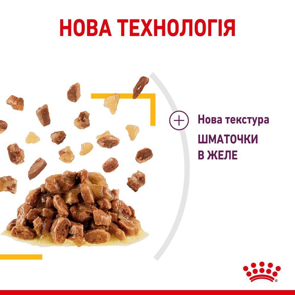 Влажный корм для кошек Royal Canin Sensory Taste Gelee 85 г