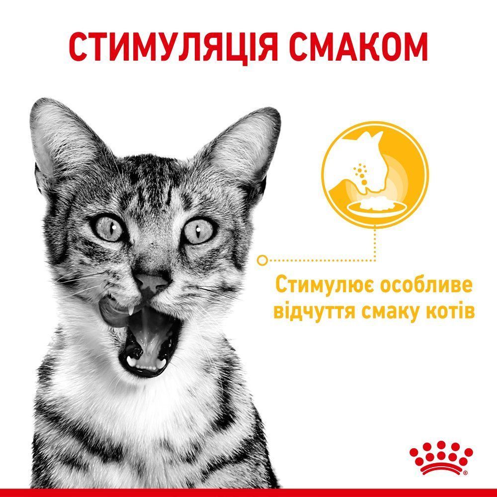 Влажный корм для кошек Royal Canin Sensory Taste Gelee 85 г