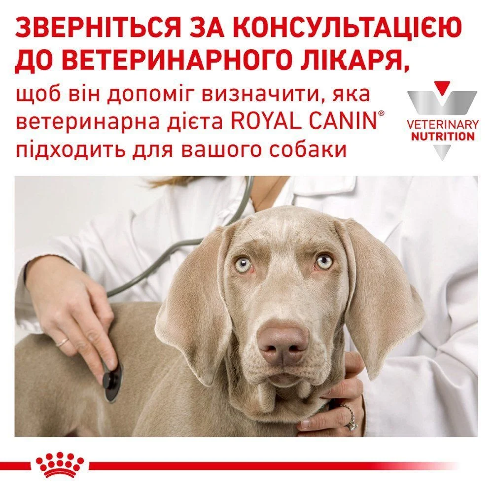 Вологий корм для собак Royal Canin Gastrointestinal 400 г