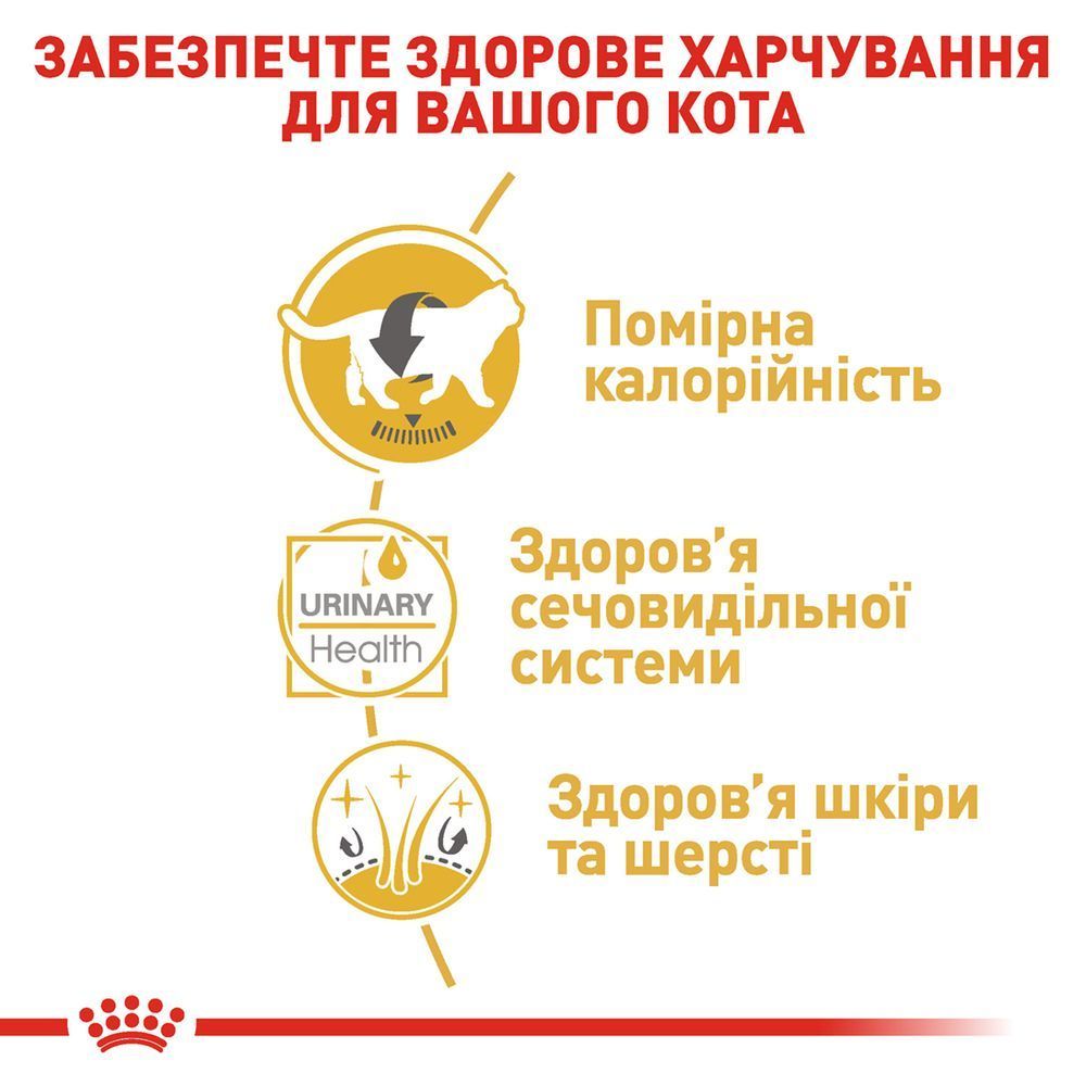 Вологий корм для котів Royal Canin British Shorthair Adult 85 г