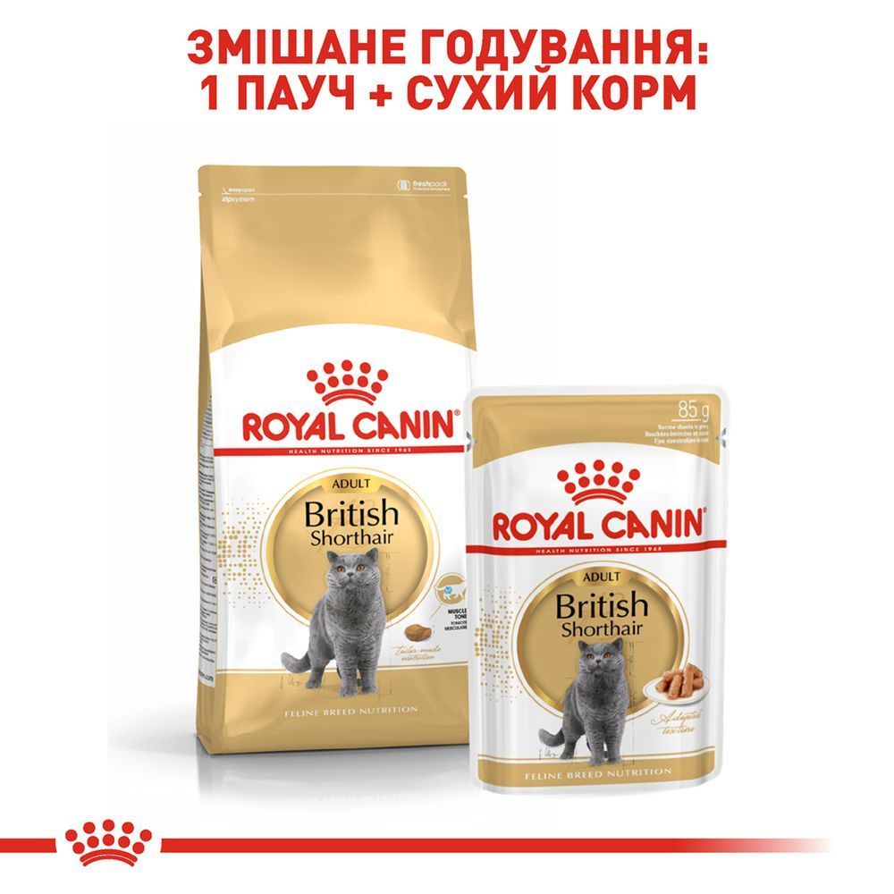 Вологий корм для котів Royal Canin British Shorthair Adult 85 г