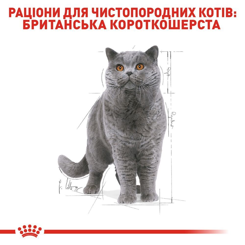 Вологий корм для котів Royal Canin British Shorthair Adult 85 г