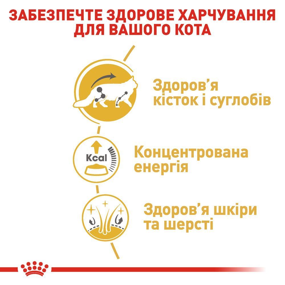Вологий корм для котів Royal Canin Maine Coon Adult 85 г