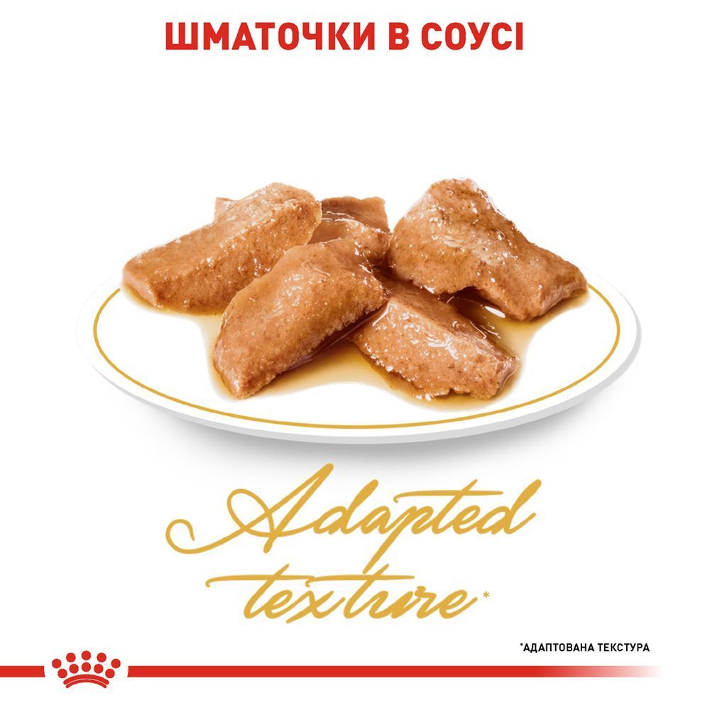 Вологий корм для котів Royal Canin Maine Coon Adult 85 г
