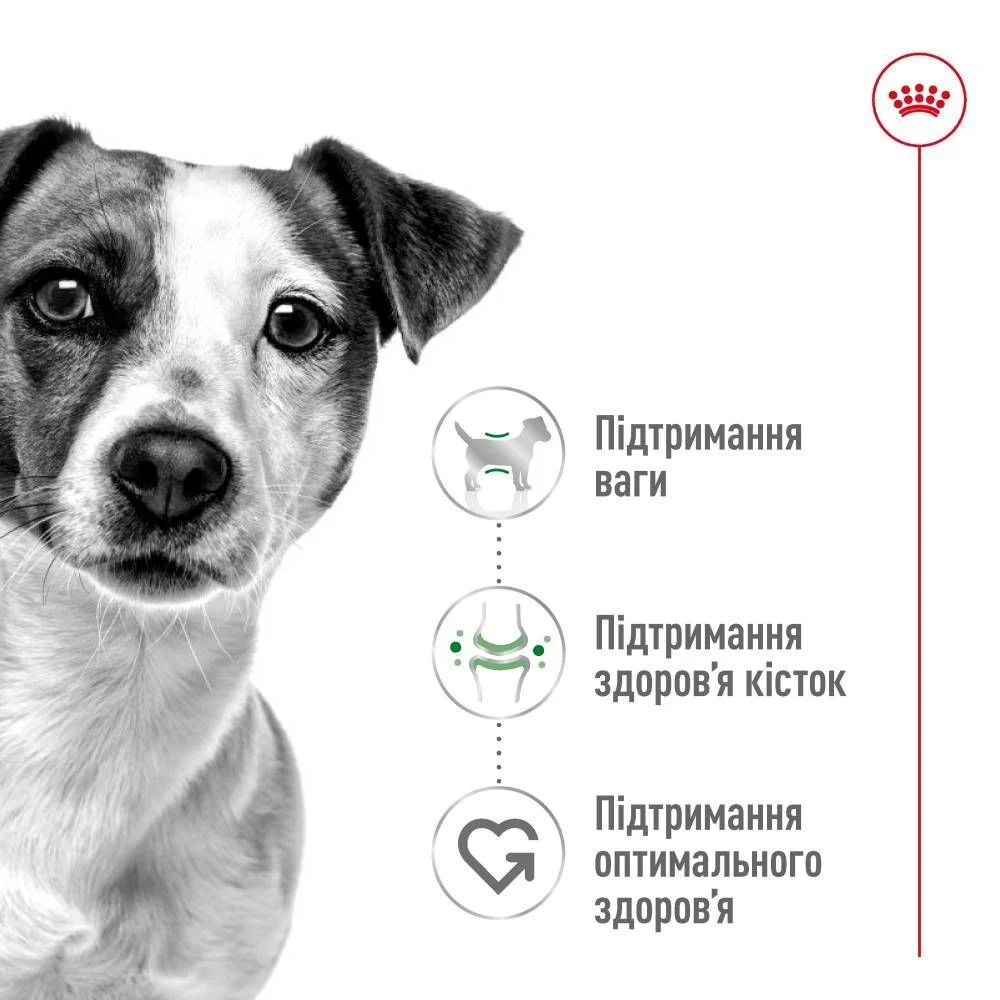 Вологий корм для собак Royal Canin Mini Adult 85 г