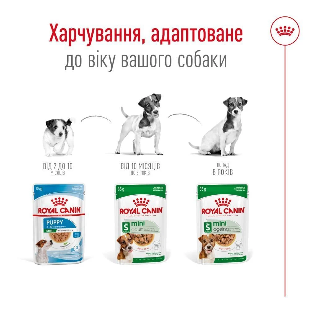 Вологий корм для собак Royal Canin Mini Adult 85 г