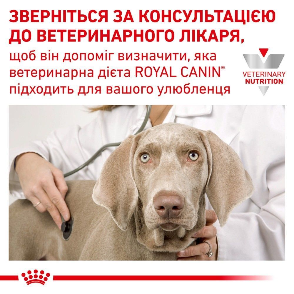 Вологий корм для котів Royal Canin Recovery 195 г
