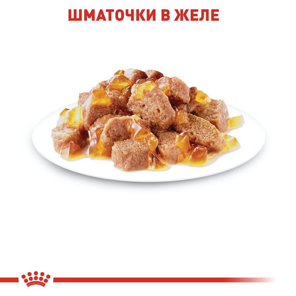 Влажный корм для кошек Royal Canin Hair & Skin Care 85 г Влажный корм для кошек Royal Canin Hair & Skin Care 85 г
