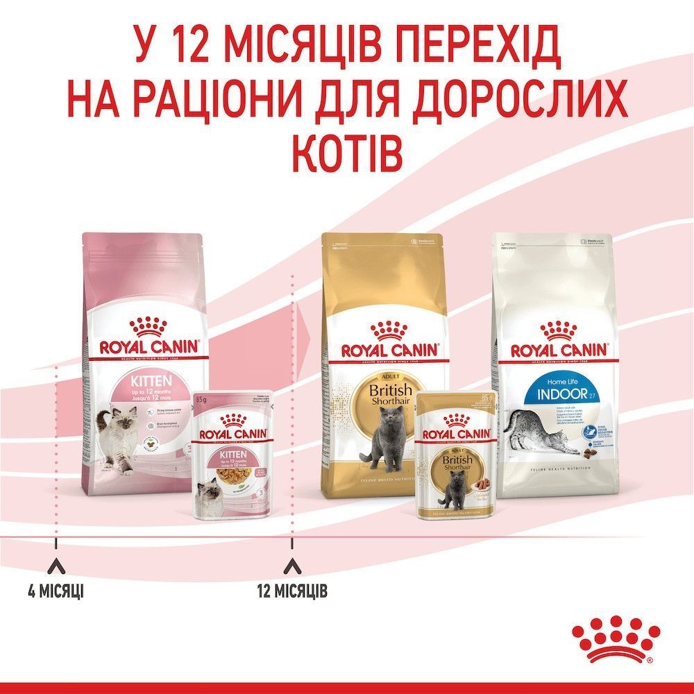 Вологий корм для кошенят Royal Canin Kitten Gelly 85 г
