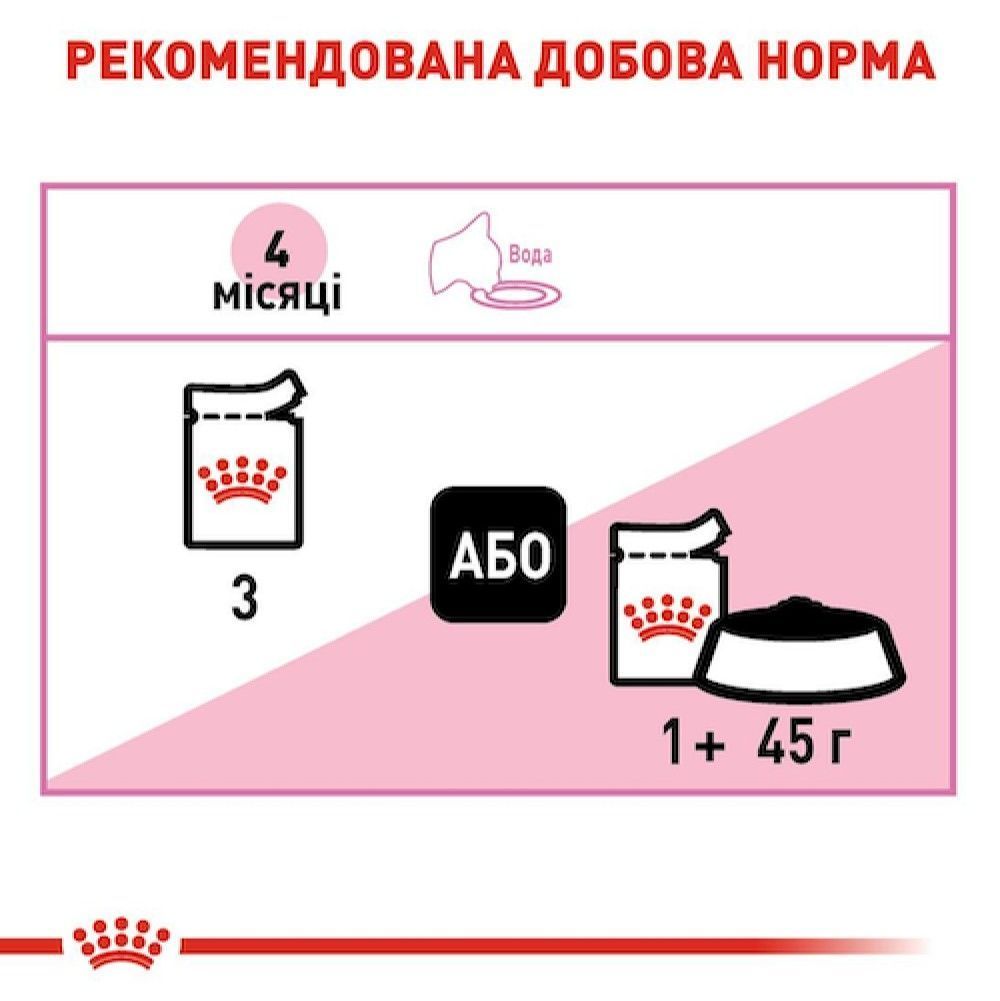 Влажный корм для котят Royal Canin Kitten Mousse 85 г Влажный корм для котят Royal Canin Kitten Mousse 85 г