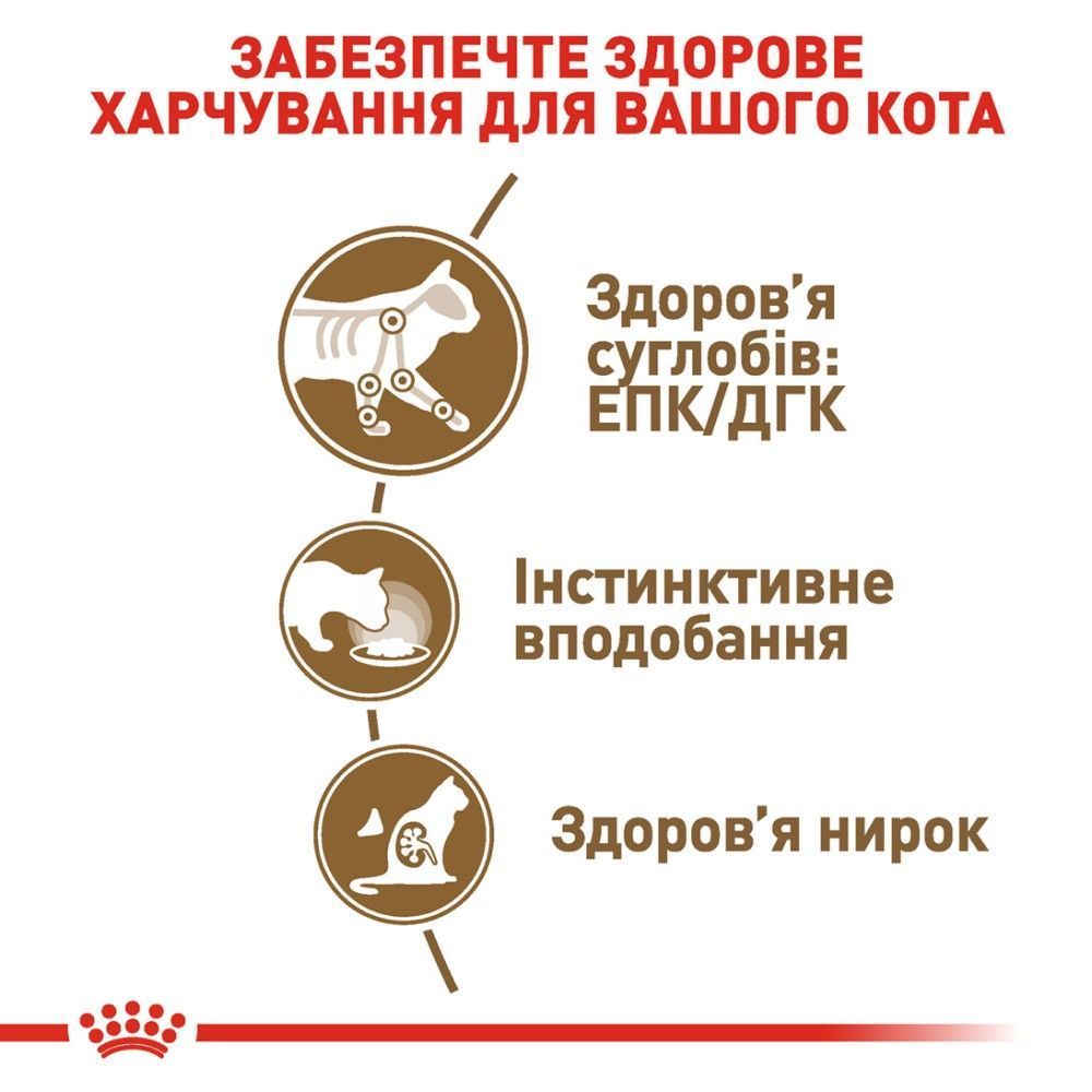 Вологий корм для котів Royal Canin Ageing 12+ 85 г Вологий корм для котів Royal Canin Ageing 12+ 85 г