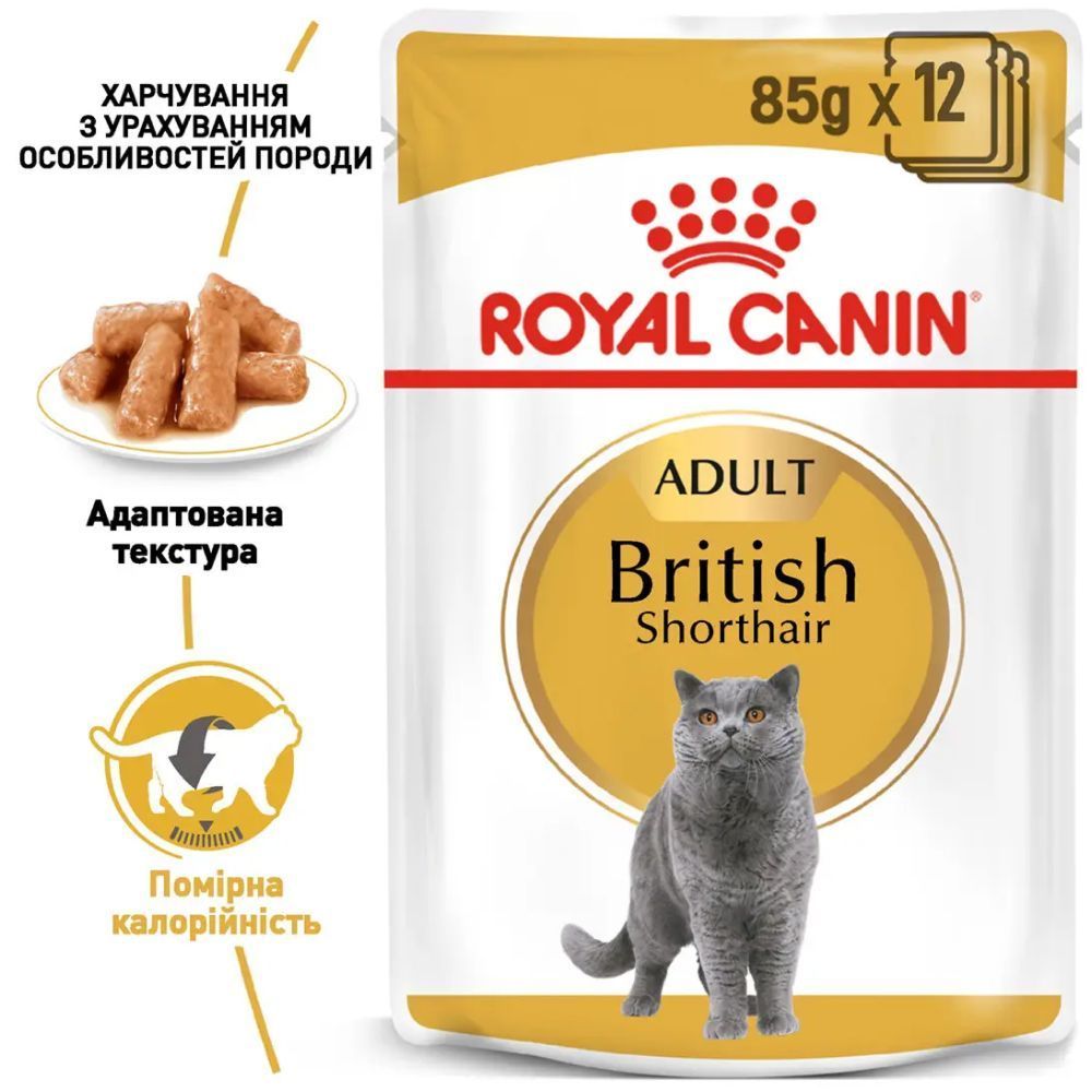 Упаковка влажного корма для кошек Royal Canin British Shorthair Adult Gravy 9+3 шт. х 85 г