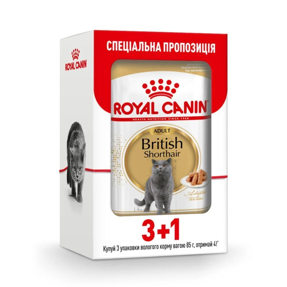 Упаковка вологого корму для котів Royal Canin British Shorthair Adult Gravy pouch 3+1 шт х 85 г Упаковка вологого корму для котів Royal Canin British Shorthair Adult Gravy pouch 3+1 шт х 85 г