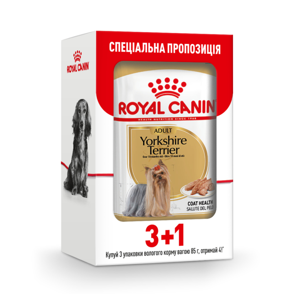 Влажный корм для собак Royal Canin Yorkshire Terrier Adult 3+1 шт. х 85 г
