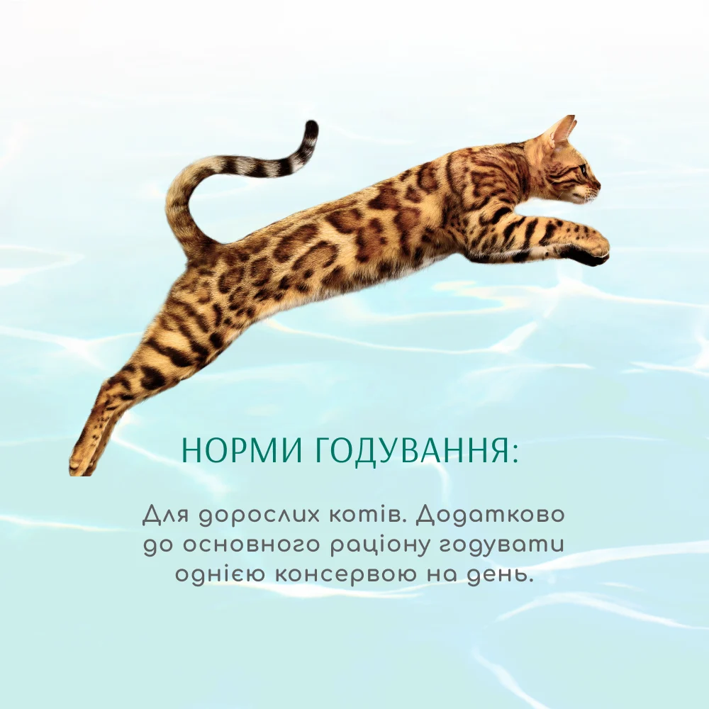 Влажный корм для кошек Optimeal Beauty Fitness 70 г — тунец и креветки Влажный корм для кошек Optimeal Beauty Fitness 70 г — тунец и креветки