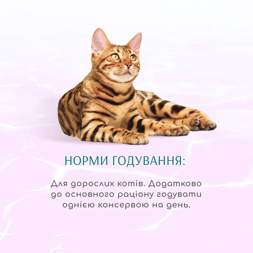 Вологий корм для котів Optimeal Beauty Harmony 70 г - тунець